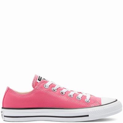 Converse Color Chuck Taylor All Star - Miesten Tennarit - Pinkki